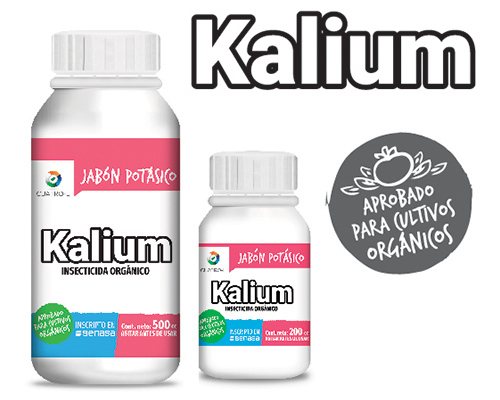Kalium_1 Kalium_1