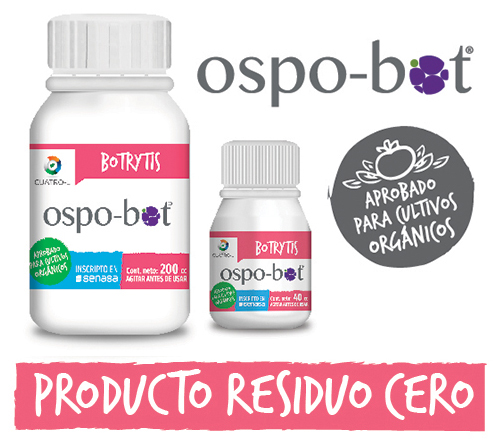 OSPO-BOT_1 OSPO-BOT_1