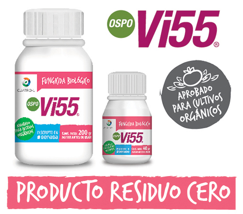 OspoVi55_1 OspoVi55_1