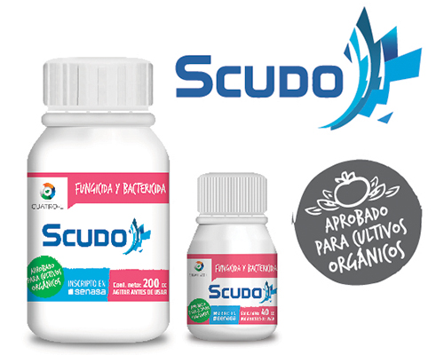 SCUDO_1 SCUDO_1
