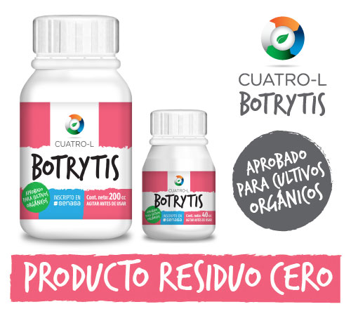 imagen_paraweb_botrytis imagen_paraweb_botrytis